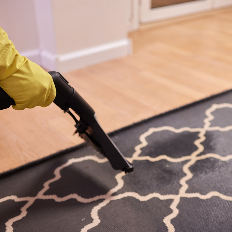 Newcastle Rug Cleaning